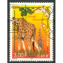 N 3333  Girafe