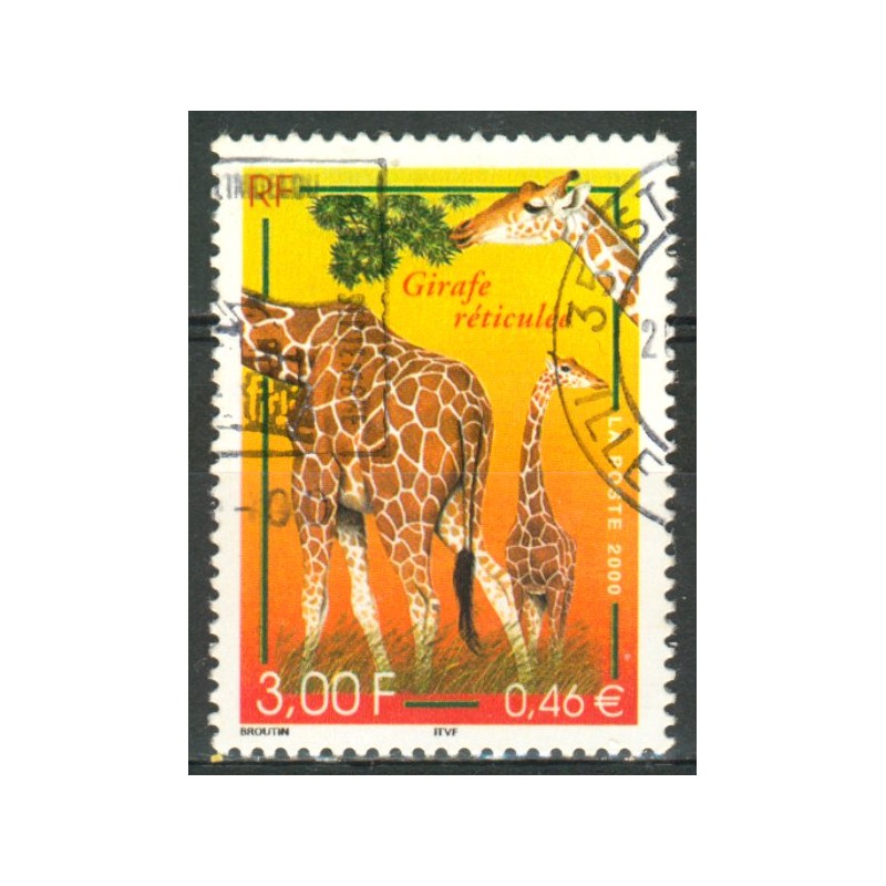 N 3333  Girafe