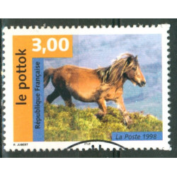 N 3184 Cheval Pottok